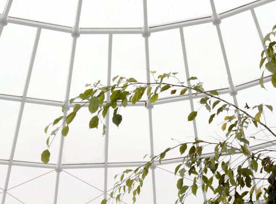 Looking up at the glass dome from the indoor pool at Árbæjarlaug