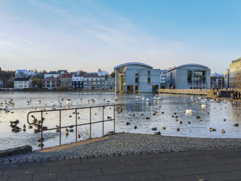 Tjörnin og Ráðhús Reykjavíkur