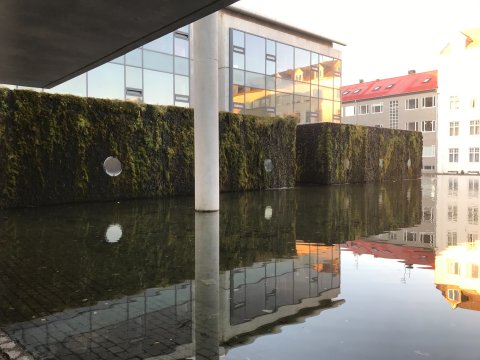 Ráðhúsið endurspeglast