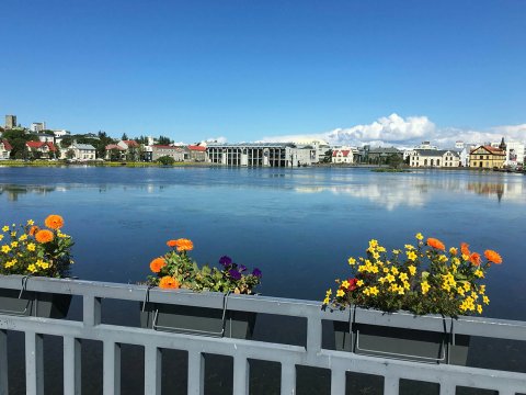 Ráðhúsið séð frá brúnni yfir Skothúsveg.