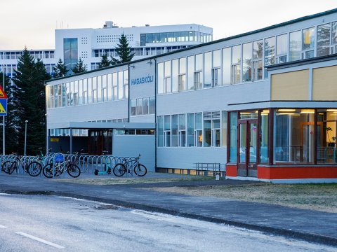 Hagskóli séður frá Fornhaga.
