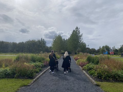 Fjölæringabeð í Hljómskálagarðinum.