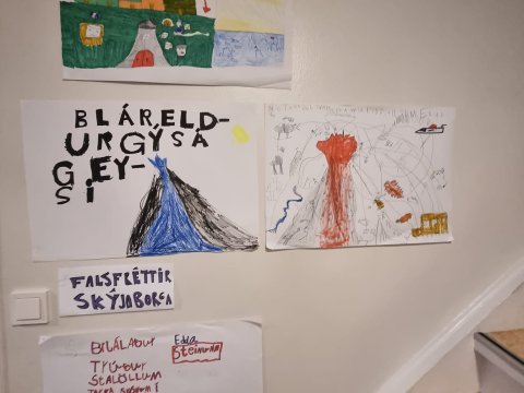 Miðlalæsi í Tjörninni