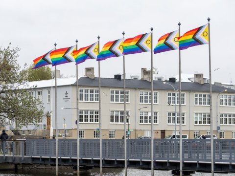 Ný útgáfa af Process Pride fánanum blakta við hún við Ráðhúsið í Reykjavík.