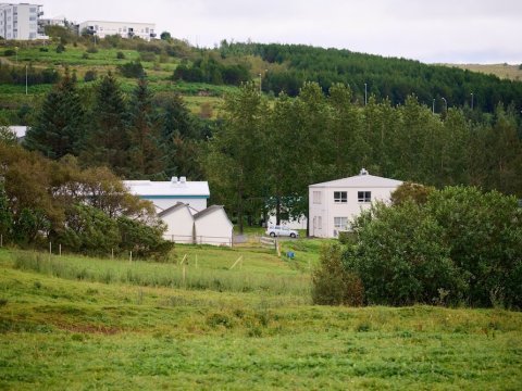 Houses, grassland, and trees.