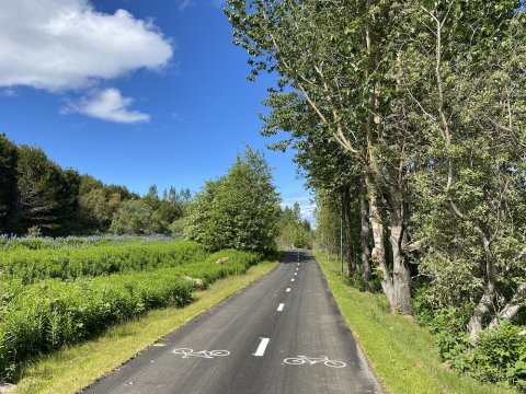 Hjólastígur í Elliðaárdal.