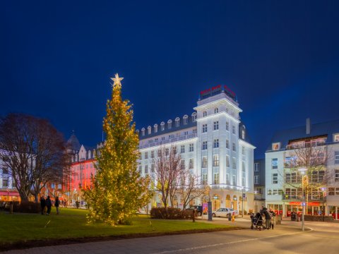 Oslóartréð á Austurvelli 