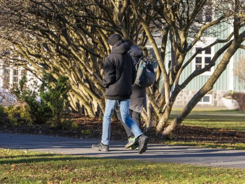 Tveir menn ganga í Reykjavík í haustsólinni