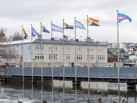 Trans og Progressive Pride fánar blakta við hún á göngubrúnni við Ráðhúsið