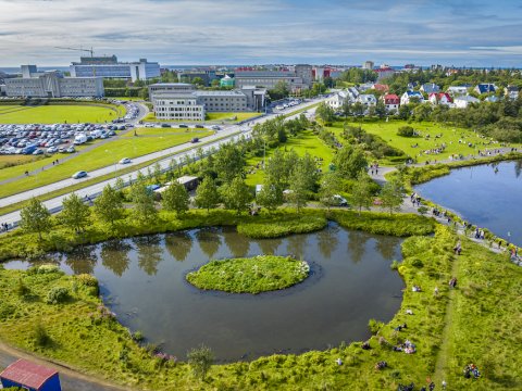 Horft á tjörn, gróður, byggingar og veg úr lofti.