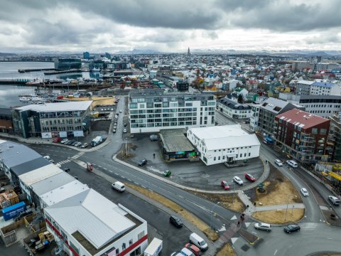 A snapshot from Reykjavík