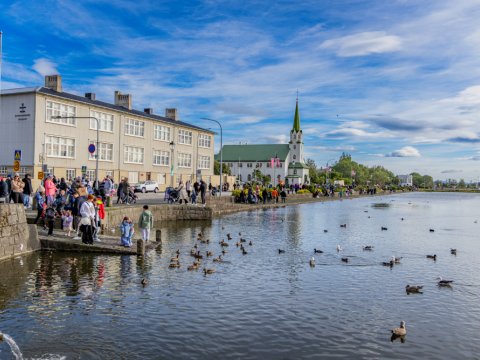 At Reykjavík Pond on a beautiful day