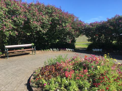 garður í blóma