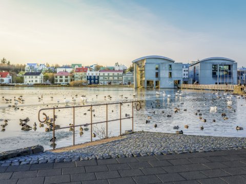 Horft yfir Tjörnina að Ráðhúsi Reykjavíkur