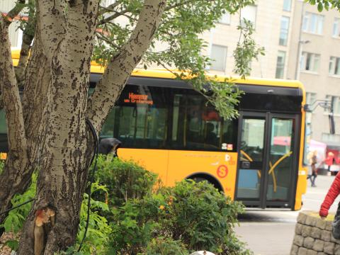 City bus