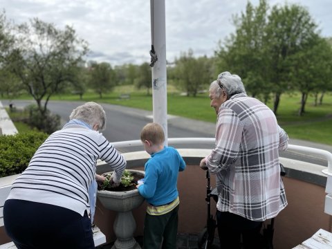 Older women and a preschool child plant flowers together