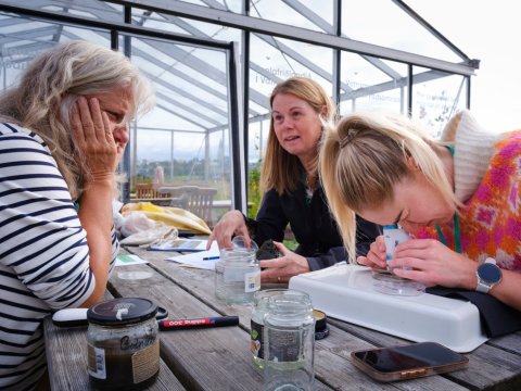 Teachers participating in an outdoor class at Vatnsmýrin.