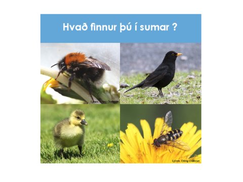 ""