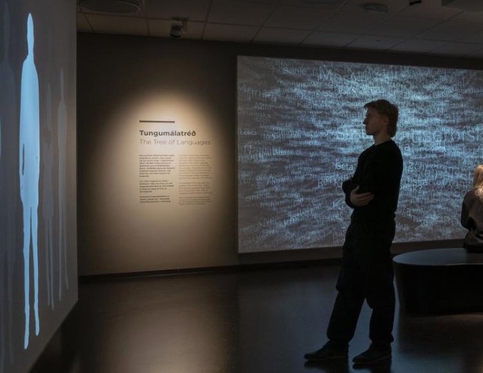 Gestir á tungumálasýningu í Vigdísarstofnun.