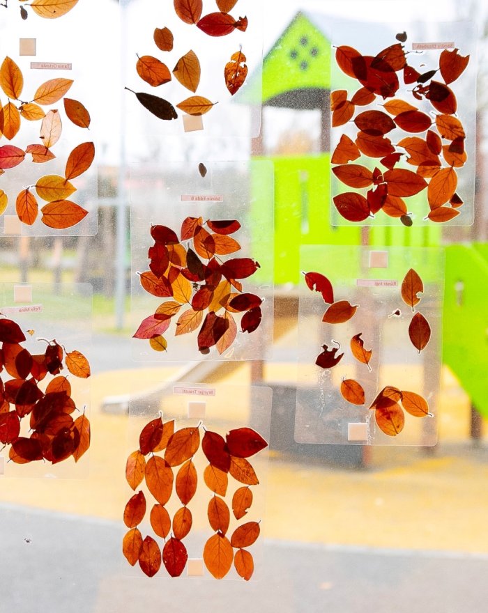 Artwork made from leaves in the window at Bakkaborg.