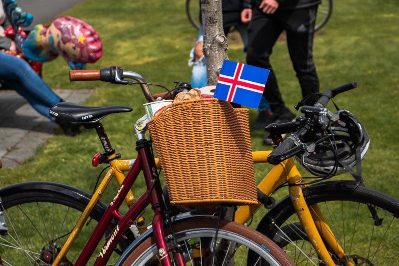 Ljósmynd af reiðhjóli í Hljómskálagarðinum