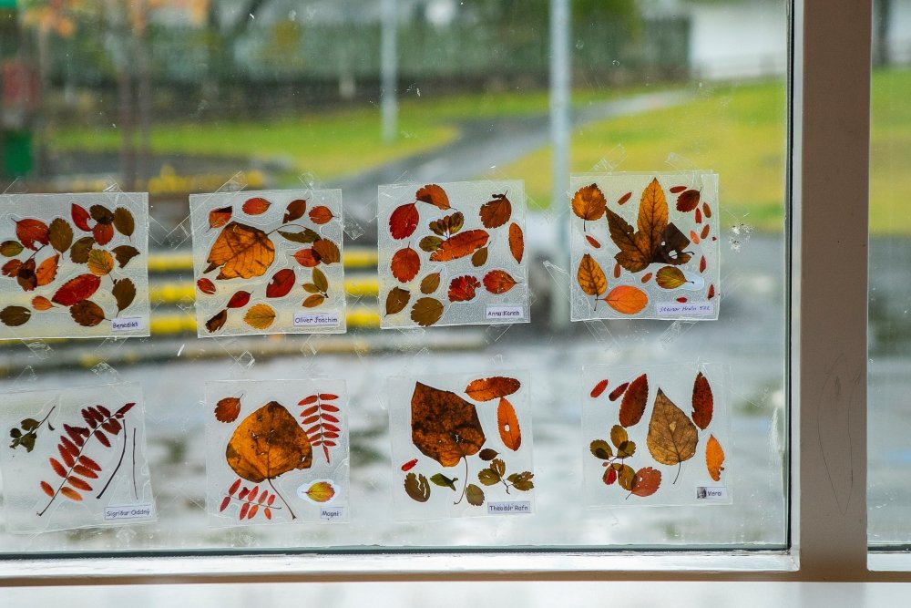 Myndlist unnin úr laufblöðum í glugga á leikskólanum Björtuhlíð