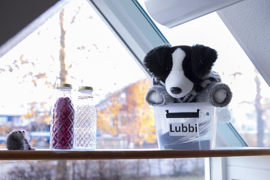 Bangsi í plastboxi með áletruninni Lubbi. Tvær glerflöskur og stór gluggi.