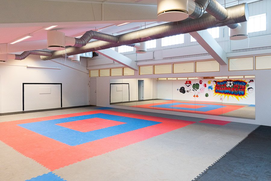 Gym at the Frostheimar after-school program