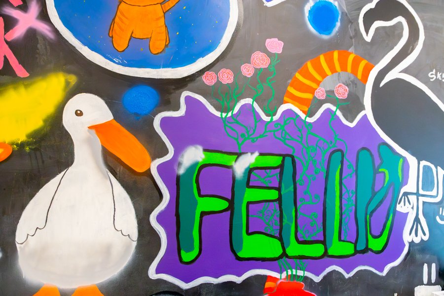 Picture painted on the wall with a duck, pelican, roses and the word Fellið. 