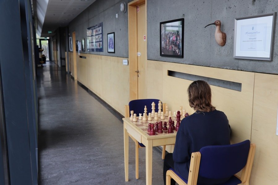 A young person sits at a chess table in the hallway. Pictures on a wall. 
