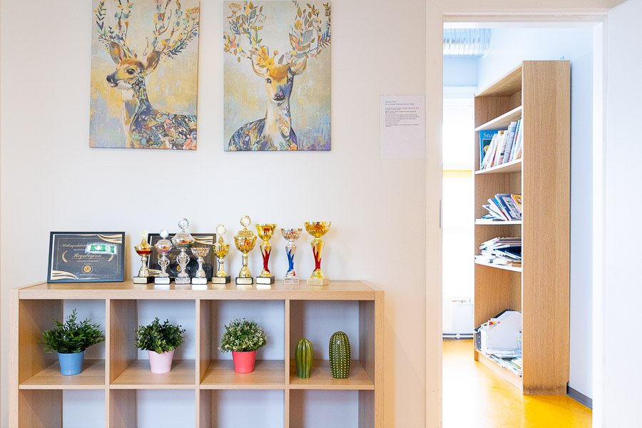 A shelf with flowers and awards. Two pictures of deer above. Looking into a room with a bookshelf.