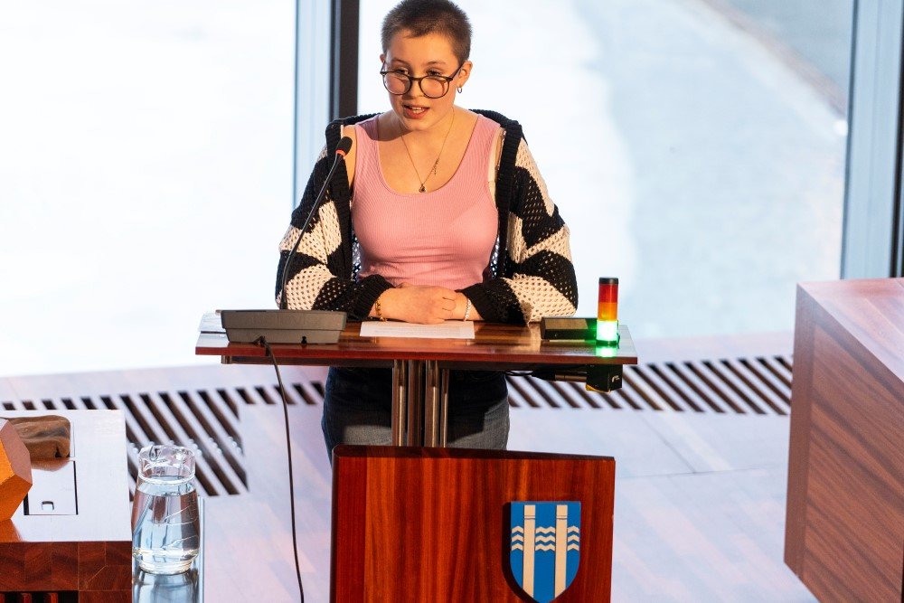 Reykjavíkurráð ungmenna 2024 