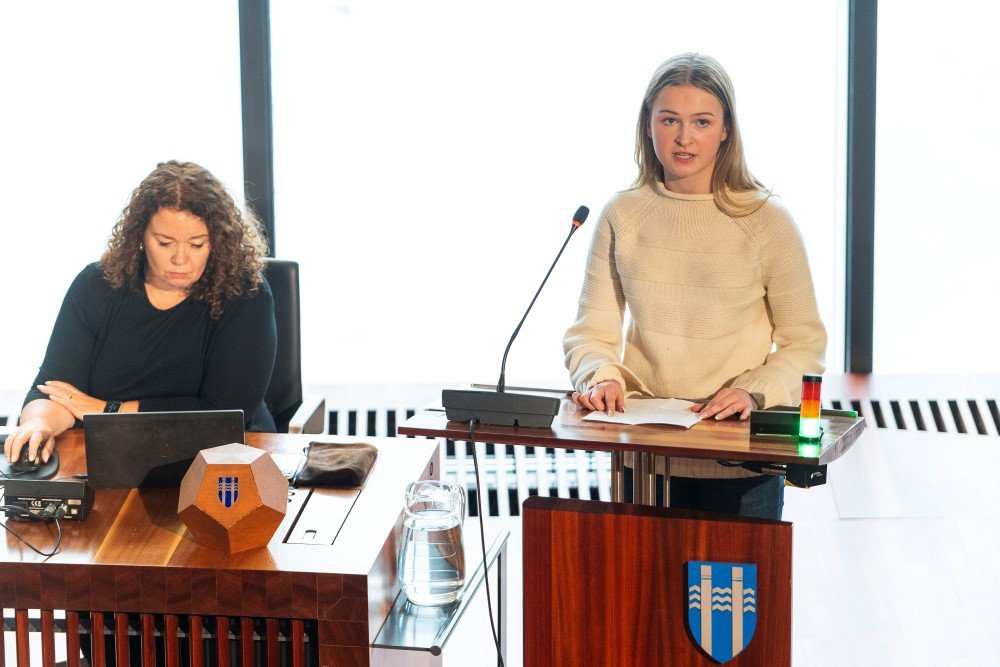 Reykjavíkurráð ungmenna 2024 