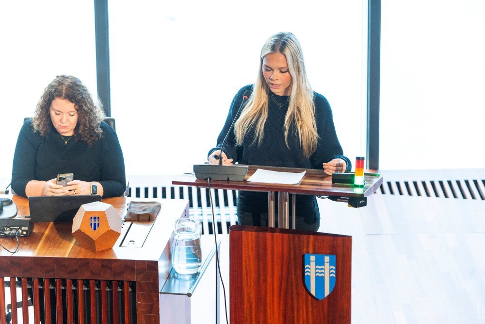 Reykjavíkurráð ungmenna 2024 