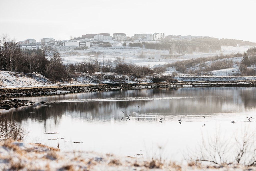 Landslag, Grafarvogur.