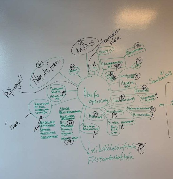 Mind map: needs assessment for a student and learning management system.