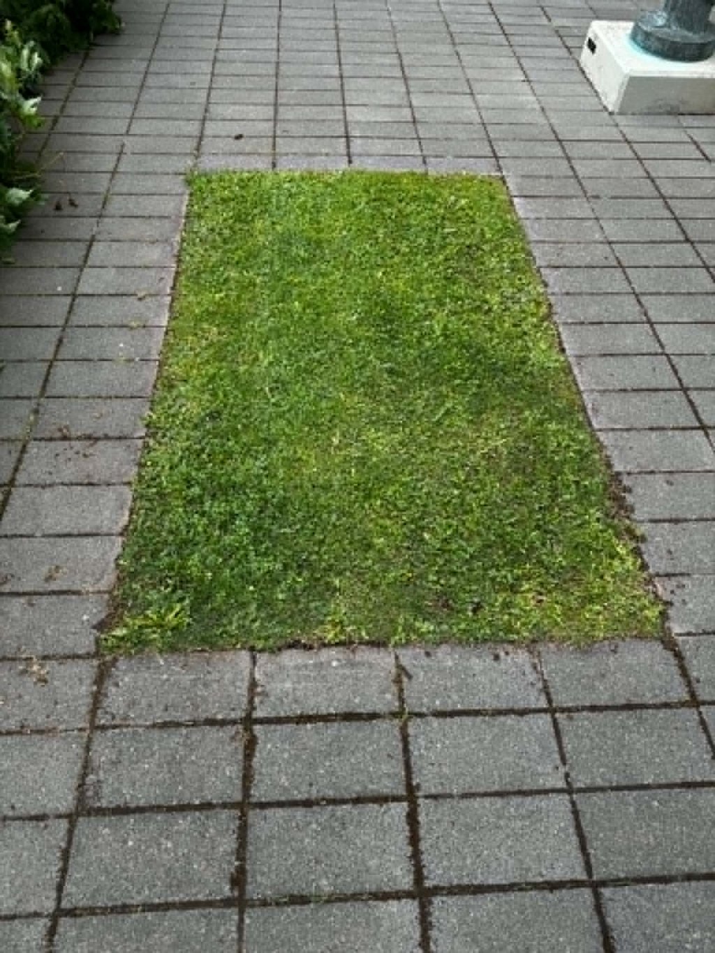 Vinnuskólinn