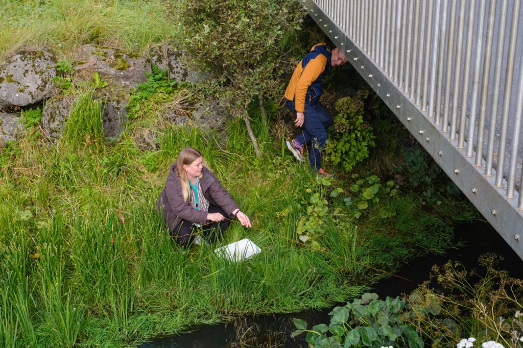 Teachers participating in an outdoor class at Vatnsmýrin.