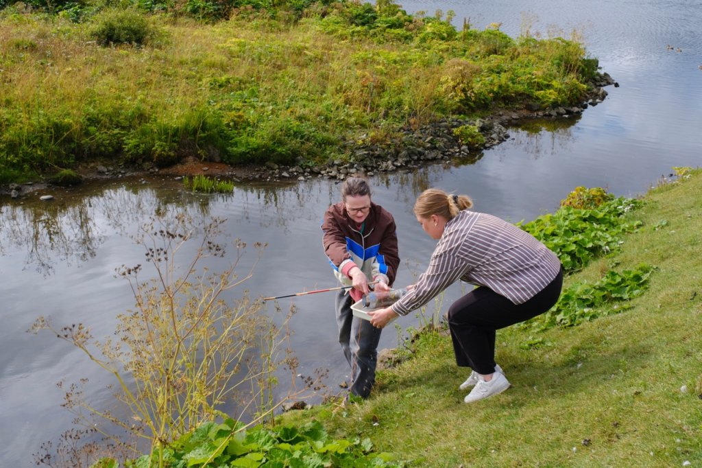 Teachers participating in an outdoor class at Vatnsmýrin.