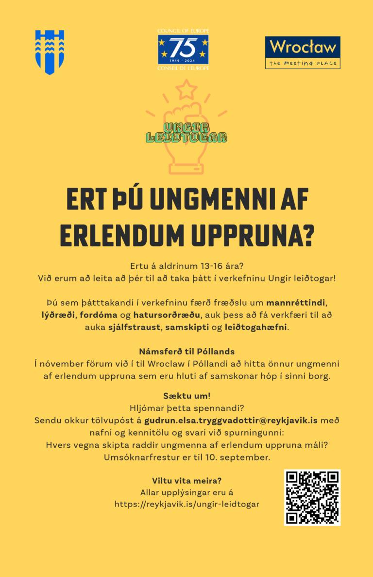 Ungir leiðtogar - plakat