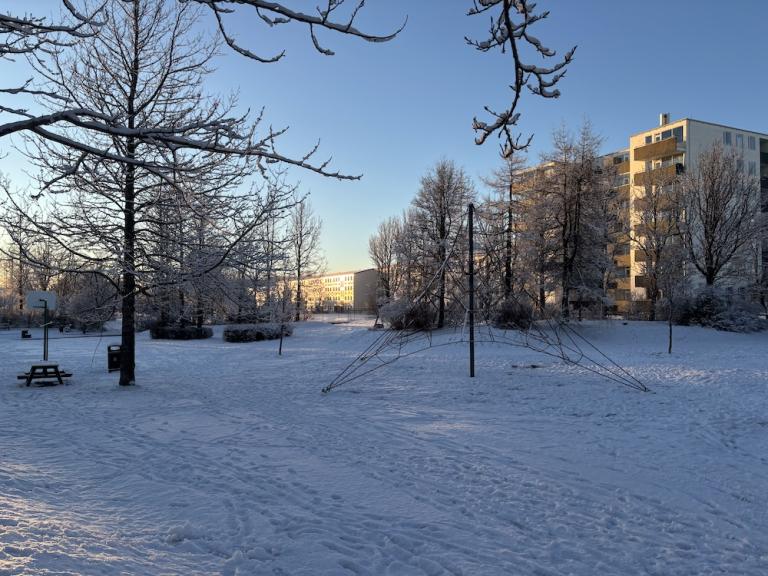 leiktæki í snjó
