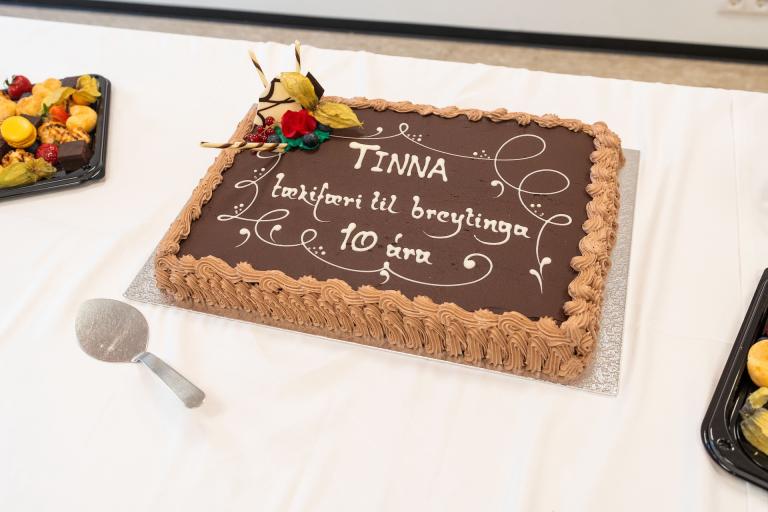 A chocolate cake features an inscription marking the 10th anniversary of TINNA Aid.
