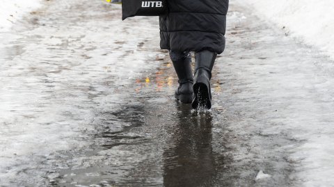 Asahláka á göngustígum