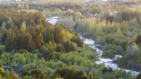 overview image of forest, houses and river