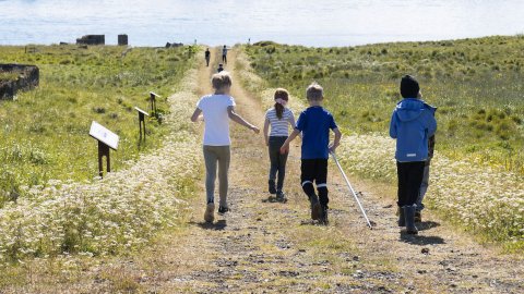 Séð aftan á hóp barna hlaupa eftir sveitavegi