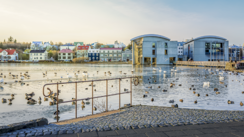 Horft yfir Tjörnina að Ráðhúsi Reykjavíkur