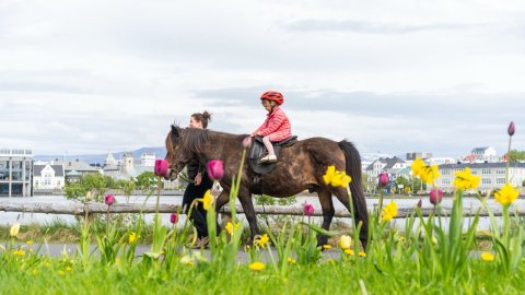 Barn teymt á hestbaki við tjörnina.