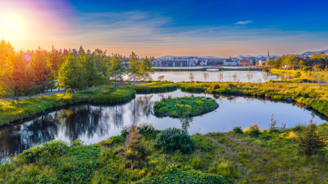 Tjörnin